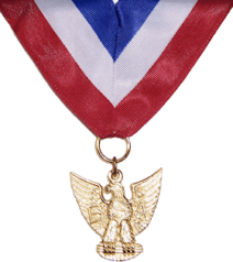 DESA medals have a red, white, and blue ribbon with a gold Eagle pendant.
A similar gold Eagle is worn as a device on an Eagle Scout uniform knot.